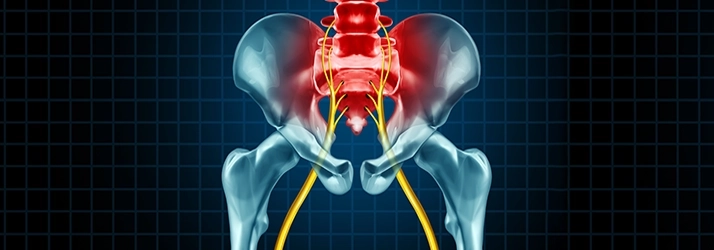 Chiropractic Crofton MD Sciatic Nerve